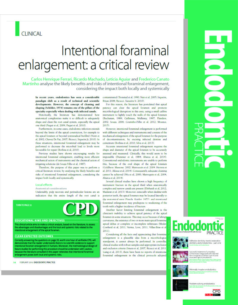 Read more about the article Modelagem foraminal