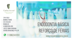 Read more about the article Curso Endodontia Básica. Reforço de Férias.