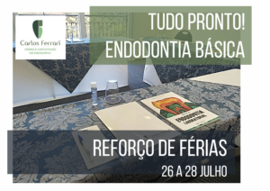 Read more about the article Curso Endodontia Básica. Reforço de Férias