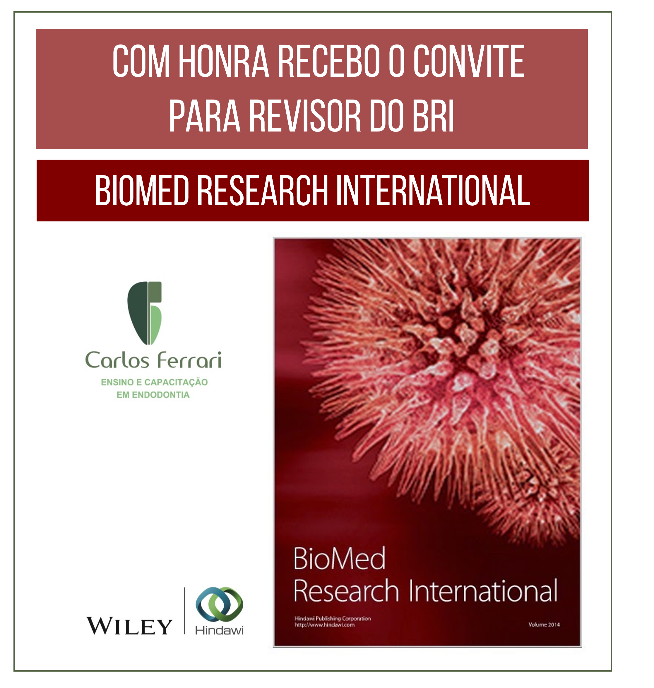 Está viendo Invitación para evaluar Biomedic Research International
