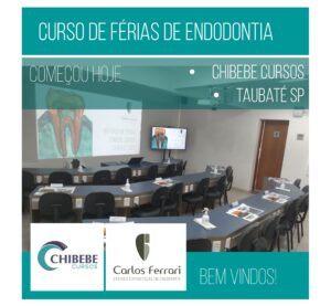 Read more about the article Endodontia Taubaté. Curso de Férias.