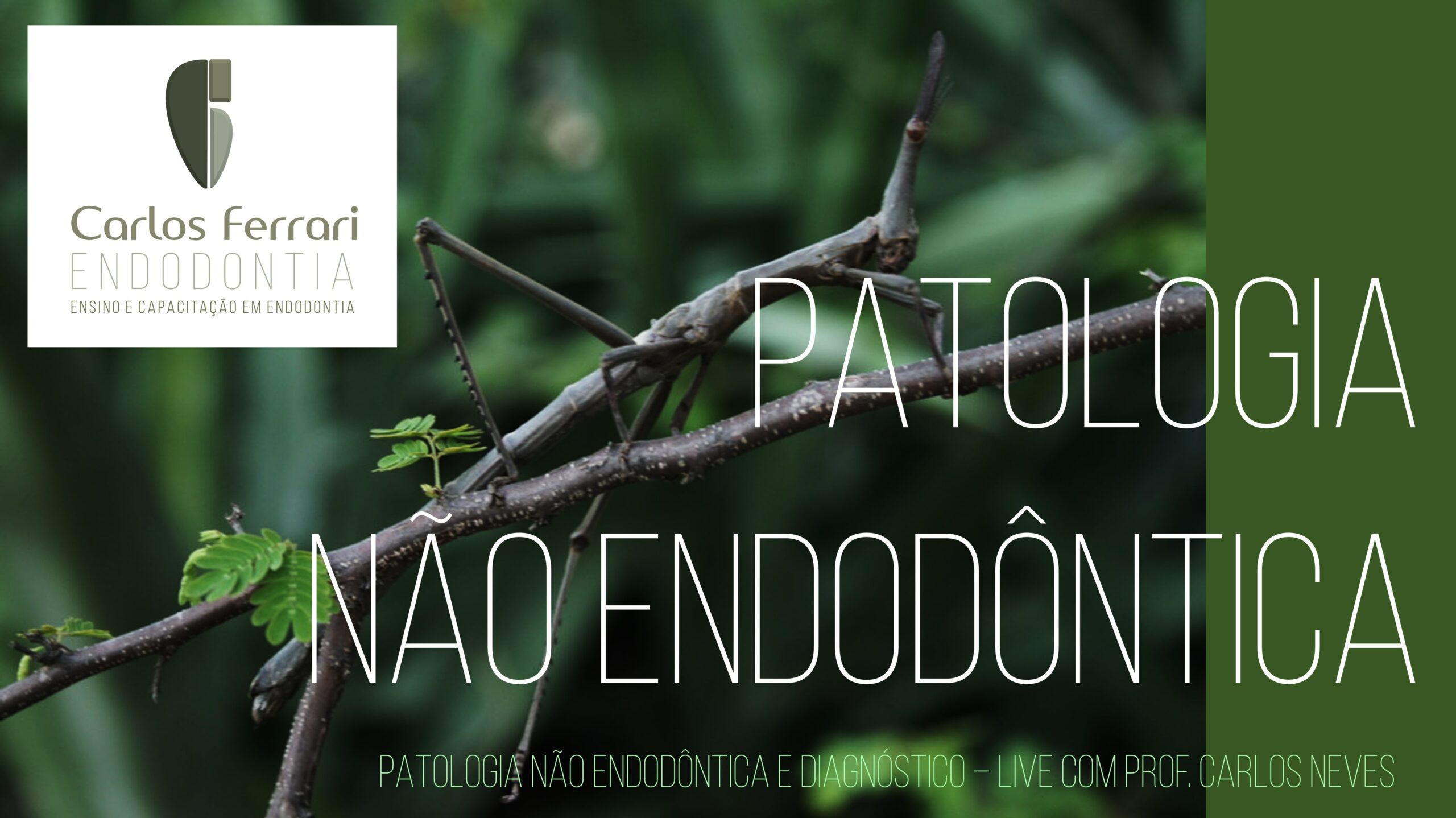You are currently viewing Lesão periapical não endodôntica. Palestra.