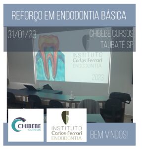 Read more about the article Curso de endodontia básica. Reforço de férias.