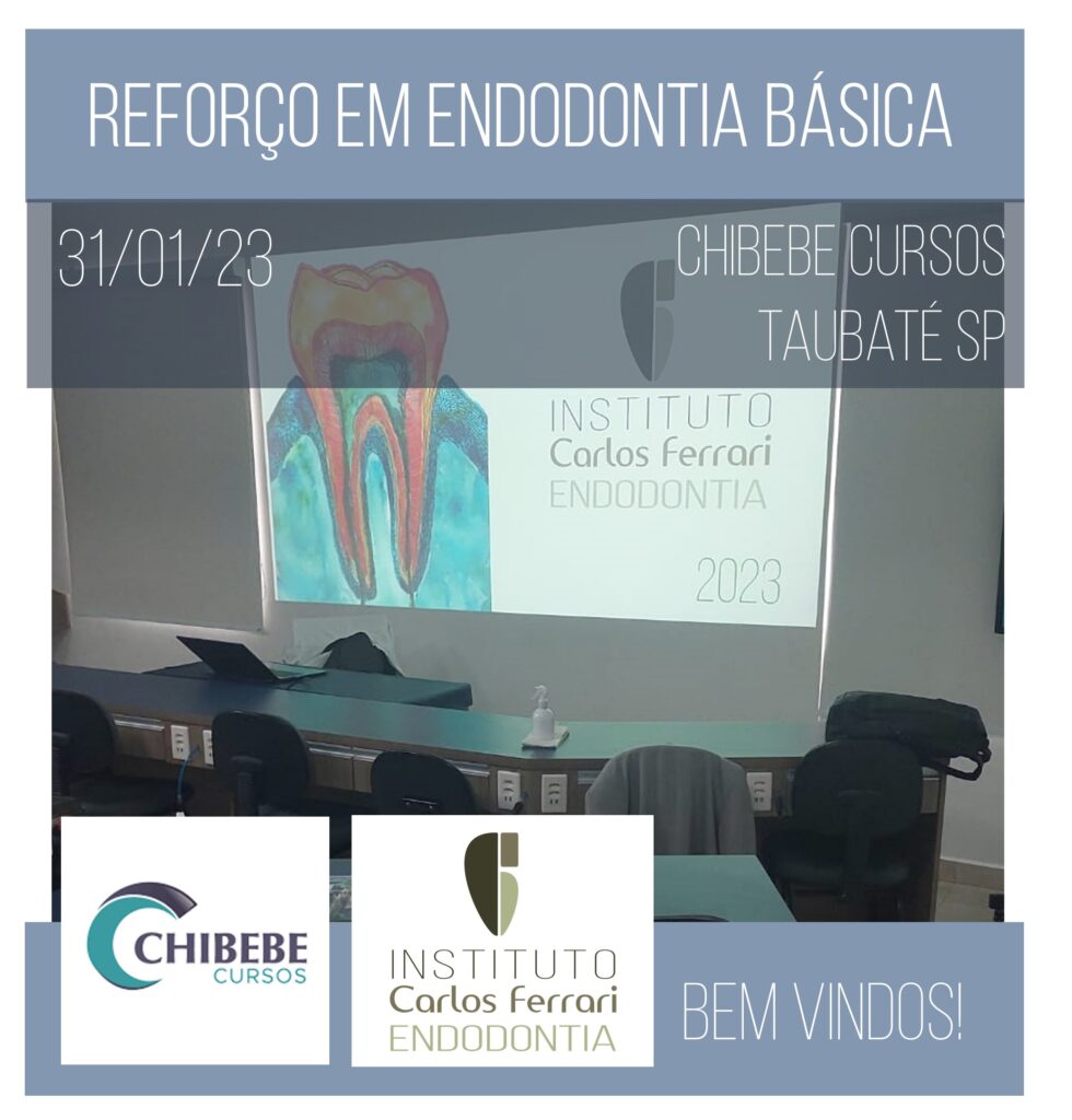 Read more about the article Curso de endodontia básica. Reforço de férias.