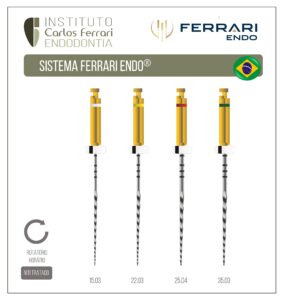 Más información sobre el artículo Archivos Ferrari Endo. Guía de uso.