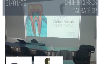 Curso de endodontia básica. Reforço de férias.