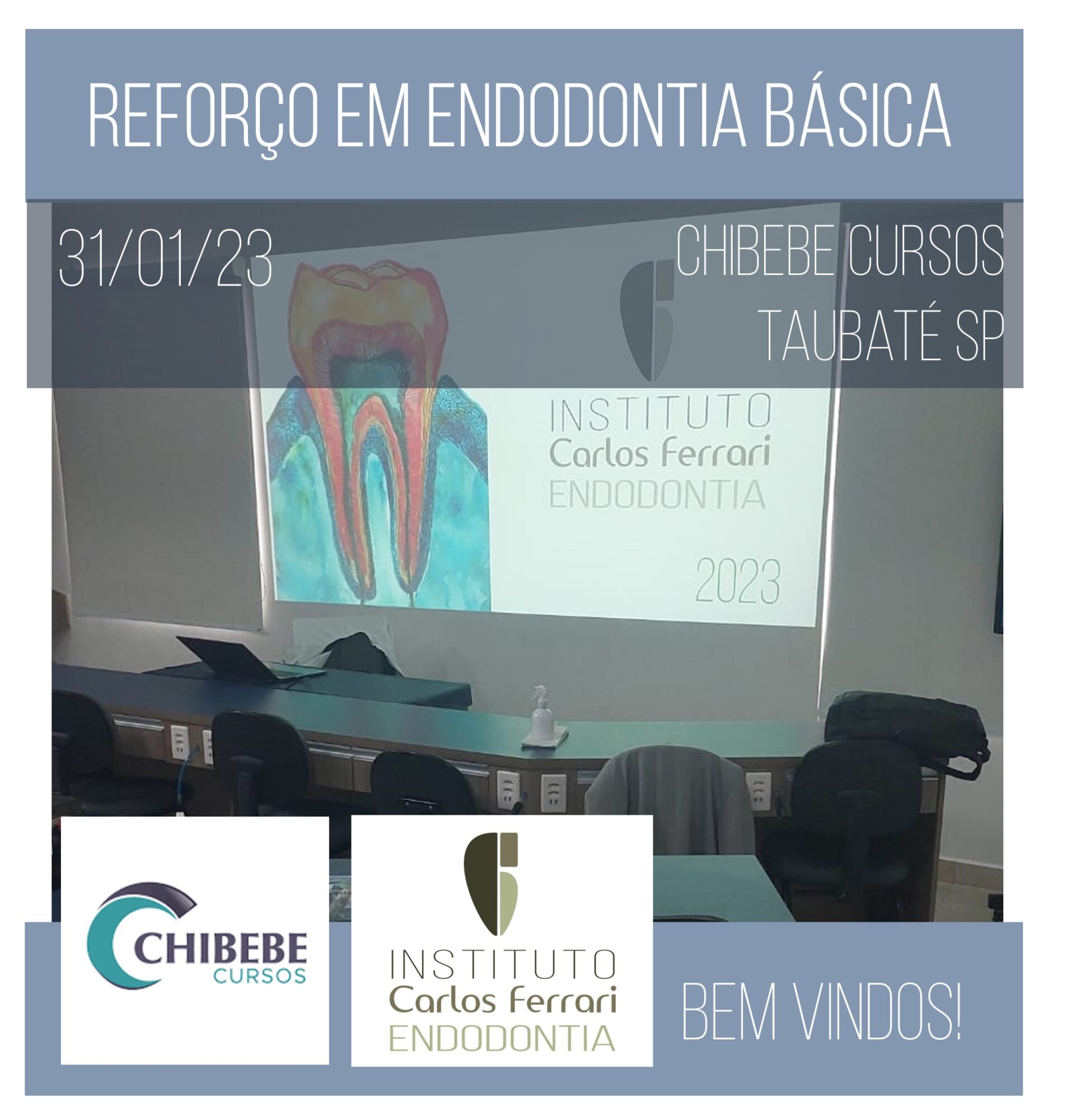 Curso de endodontia básica. Reforço de férias.