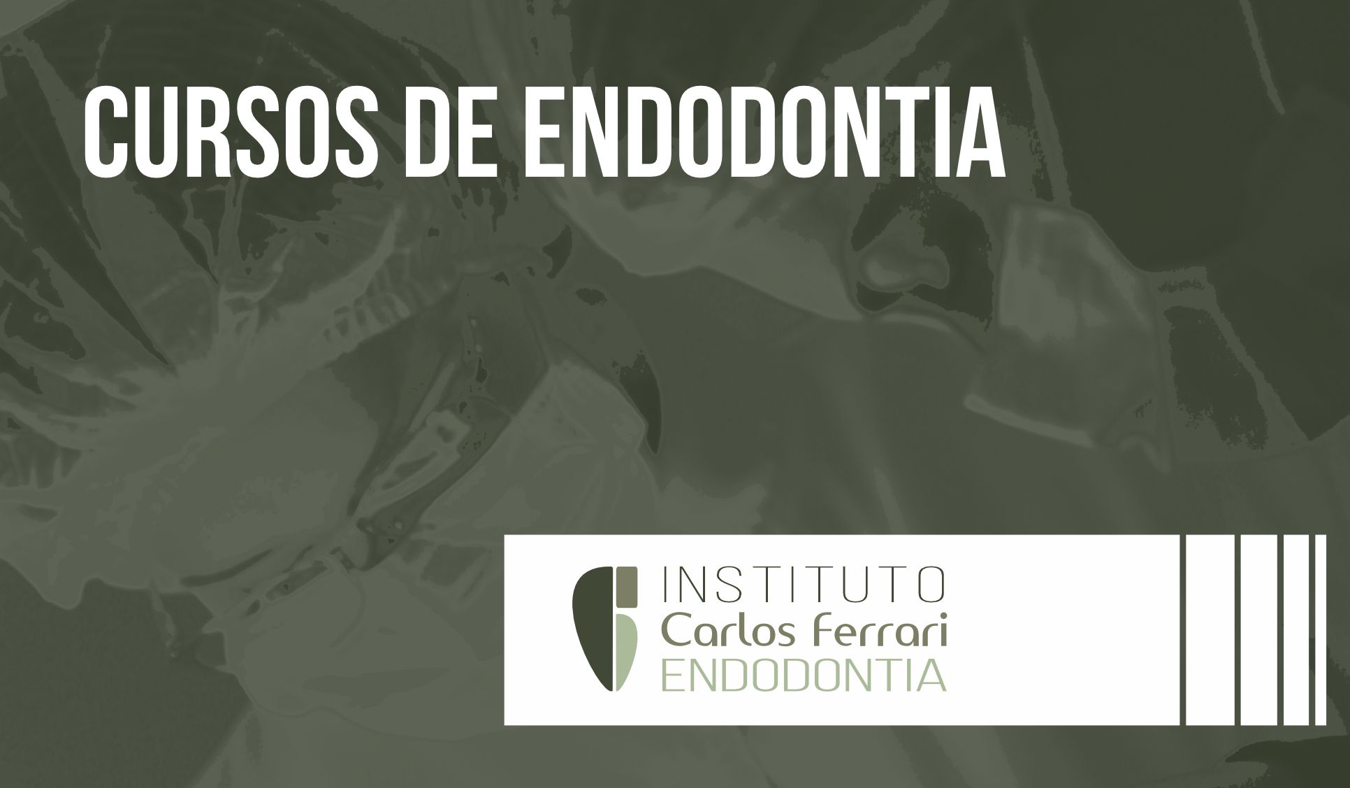 Cursos de Endodontia. Instituto Carlos Ferrari 2025.
