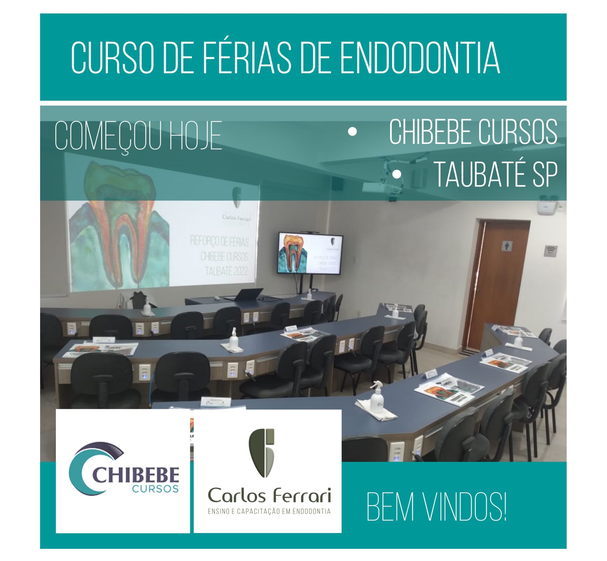Endodontia Taubaté. Curso de Férias.