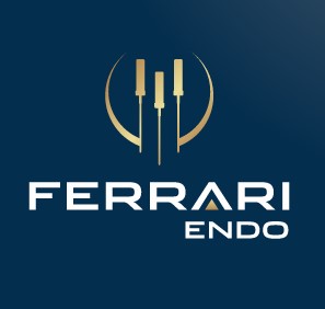 Ferrari Endo