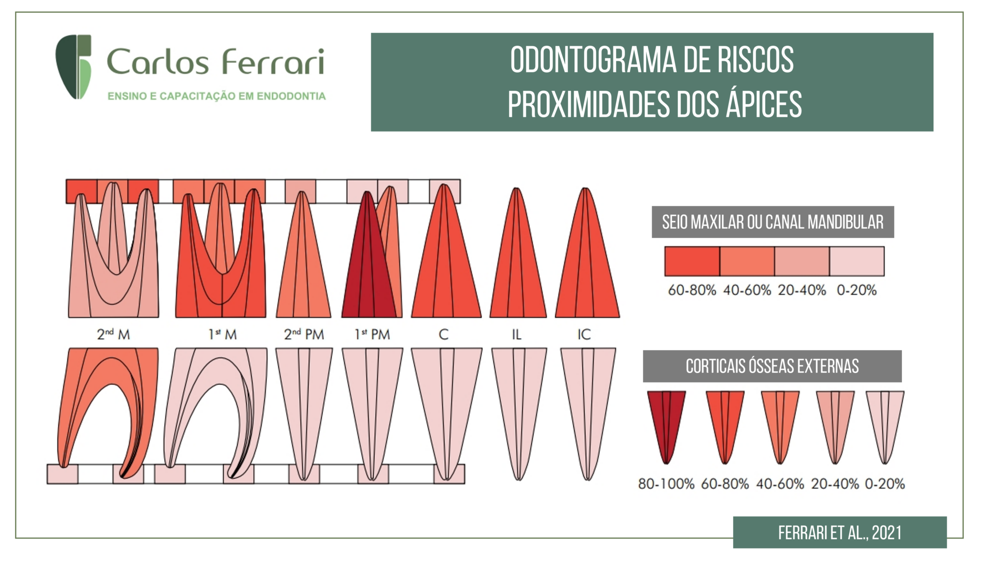 Irrigação na endodontia. Acidente com hipoclorito e clorexidina.
