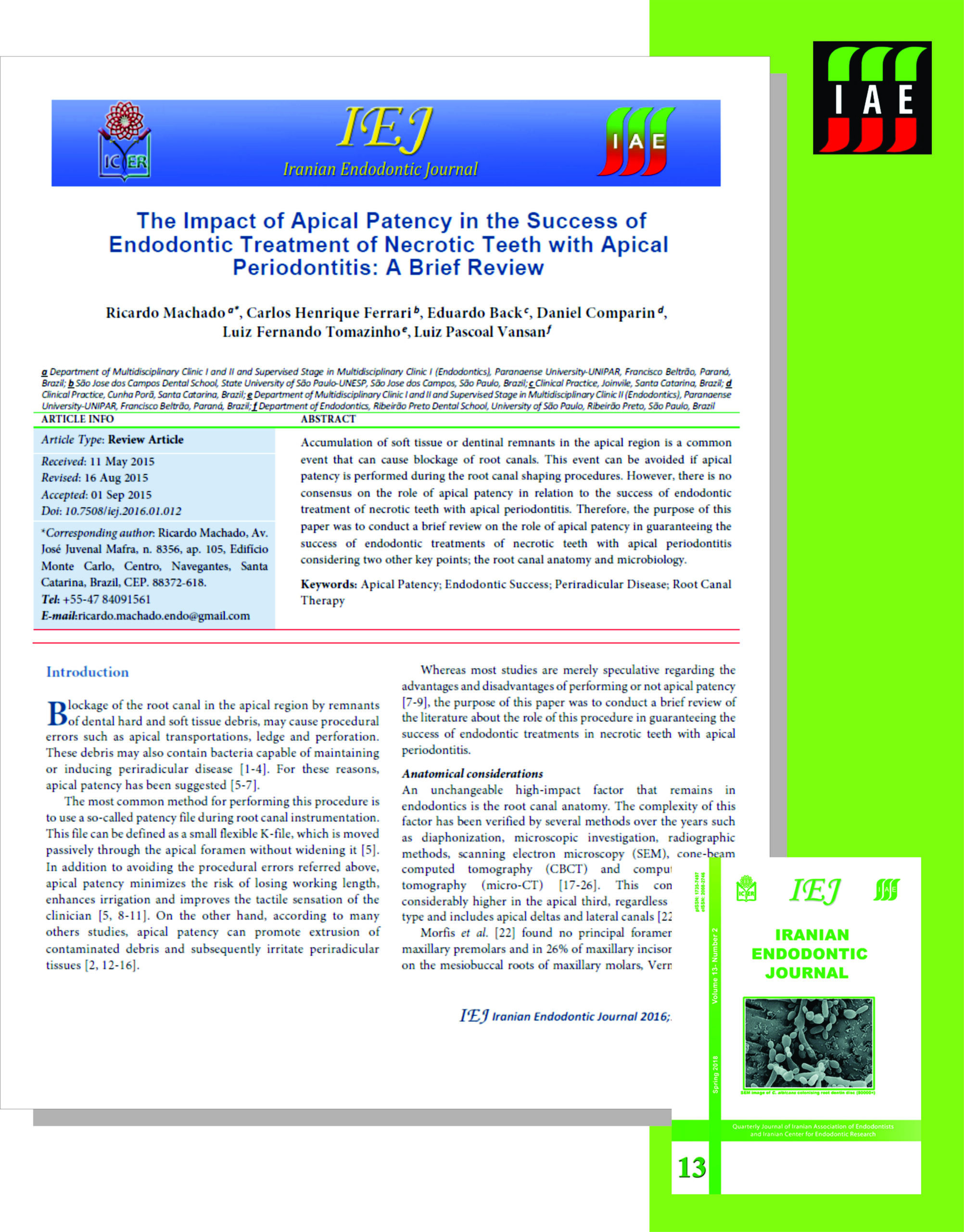 The impact of apical patency in the success of endodontic treatment of necrotic teeth with apical periodontitis: a brief review.