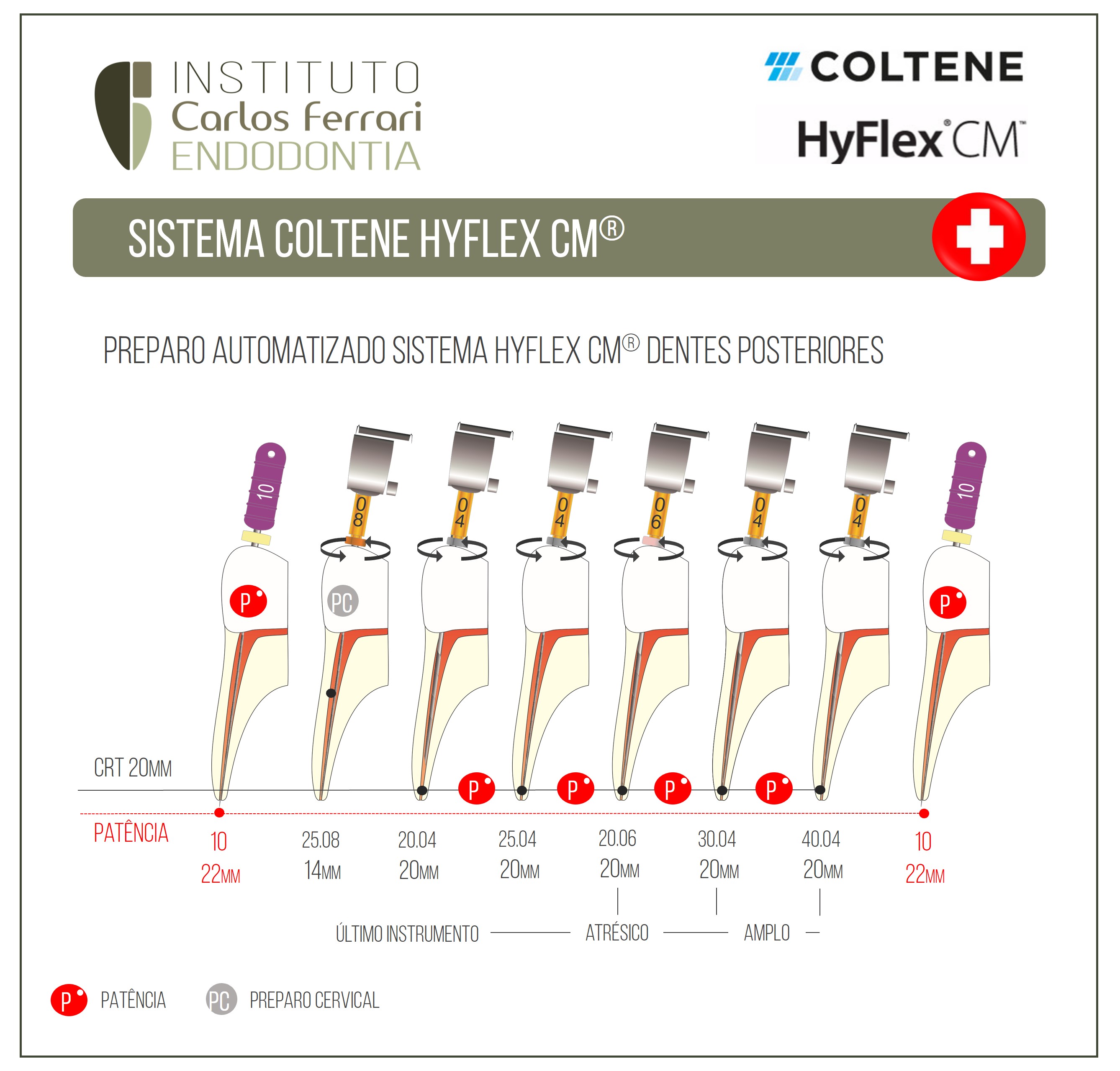 Lima Coltene Hyflex CM. Guia de utilização.