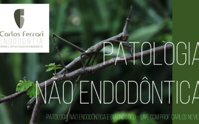 Lesão periapical não endodôntica. Palestra.