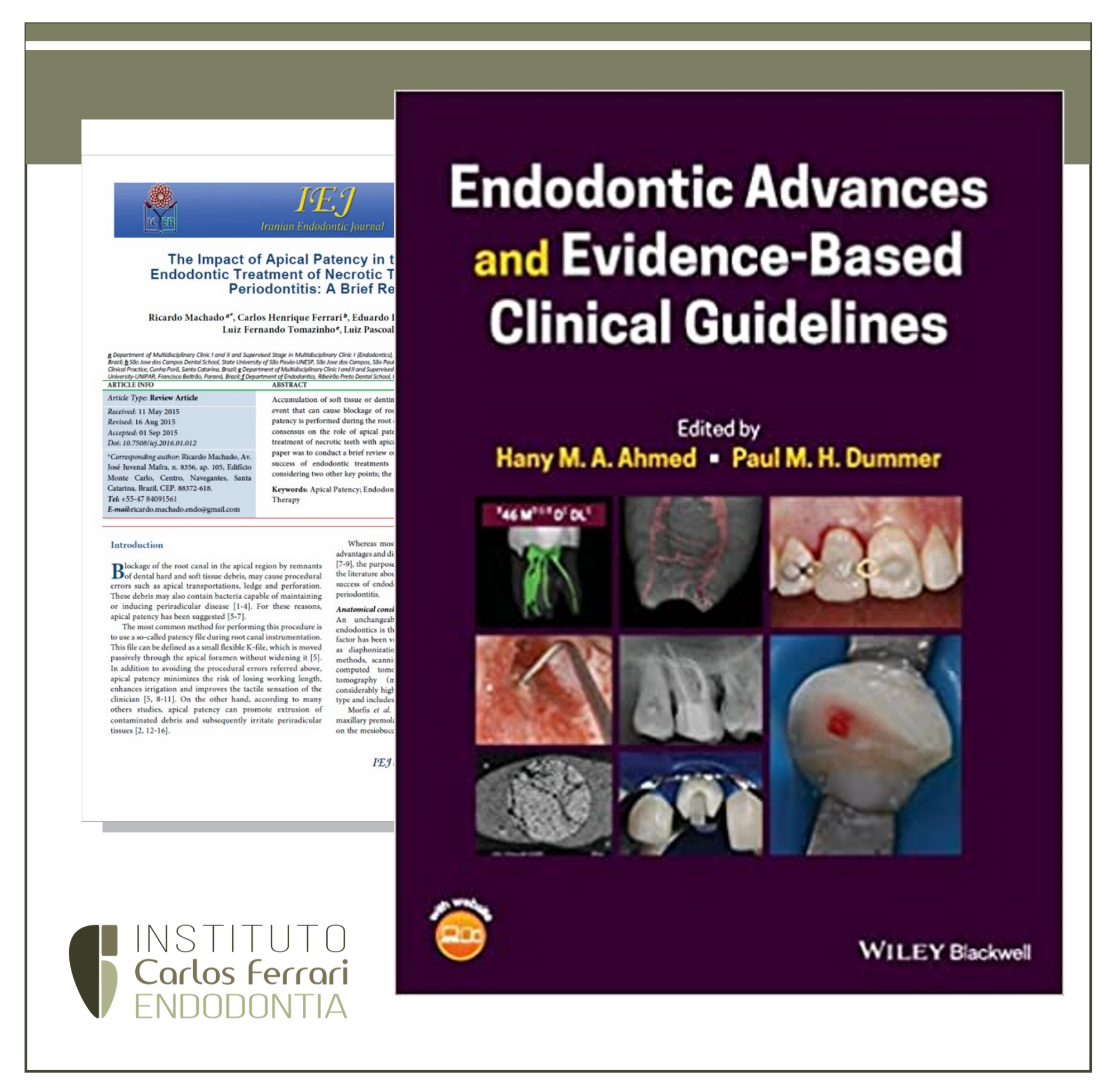 Artigos citados no livro Endodontic Advances and Evidence